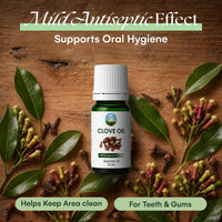 Clove Oil for Toothache Pain Relief for Adult – Oil of Cloves for Toothache Natural Dental Solution, Clove Bud Oils, Cloves Extract for Oral Care, Tooth Pain Relief and Dental Health - 10Ml